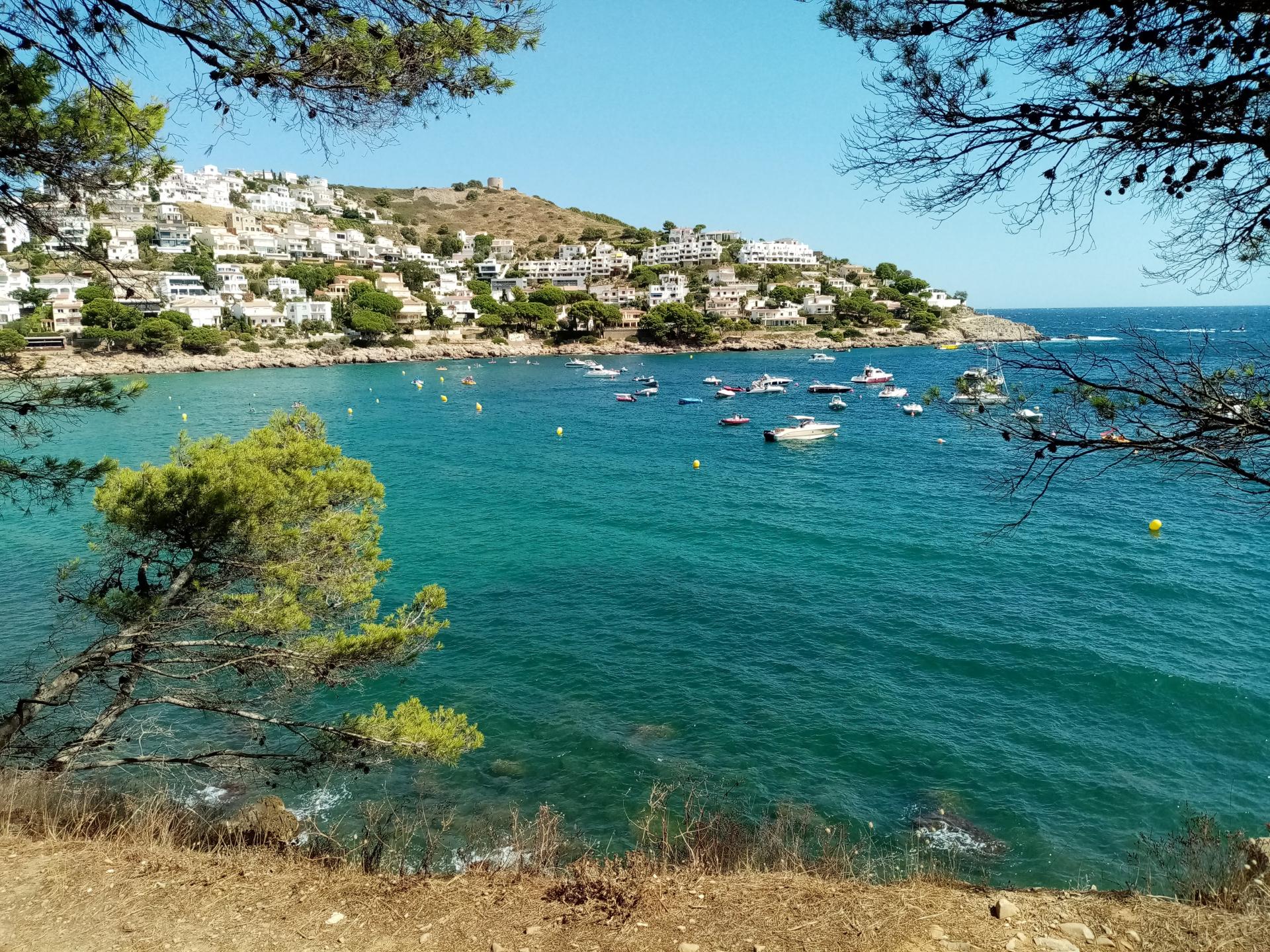 Montgo