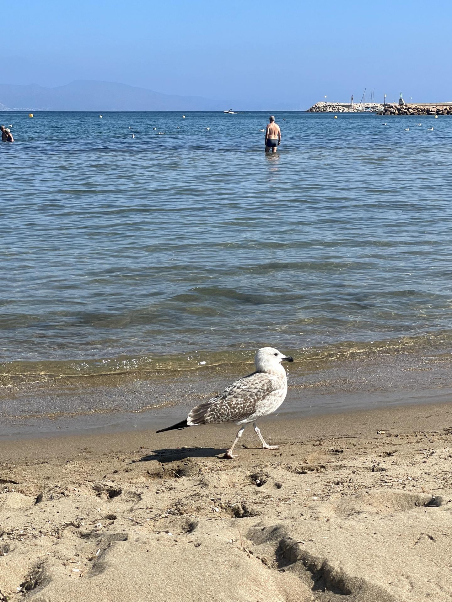 Plage1